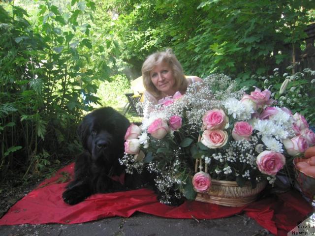 Фотография № 29191