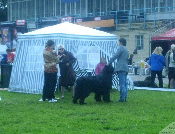 Фотография № 29193