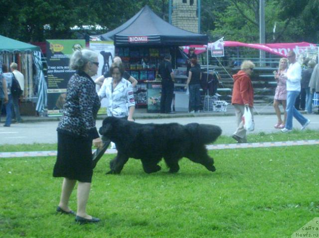 Фотография № 29195