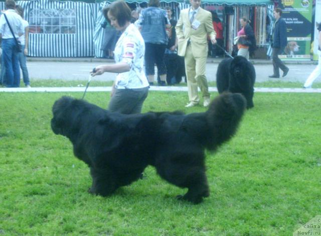 Фотография № 29196