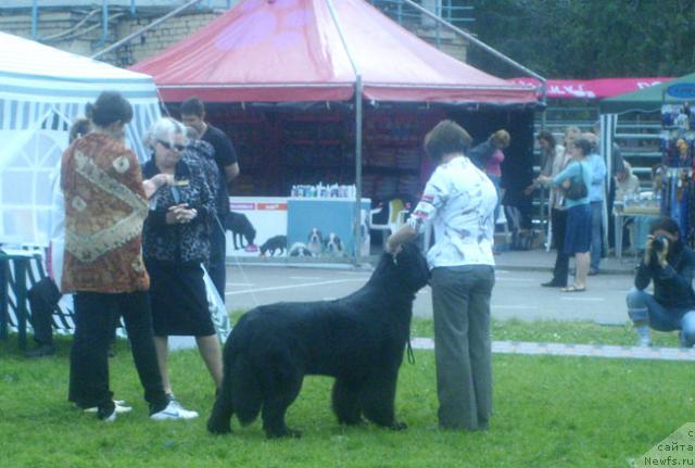 Фотография № 29198