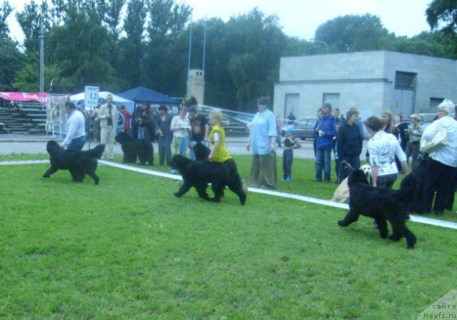 Фотография № 29201