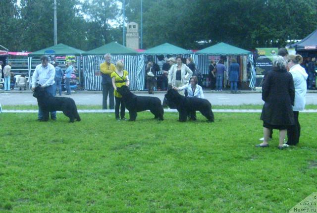 Фотография № 29202