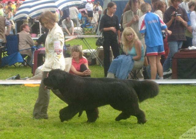 Фотография № 29203