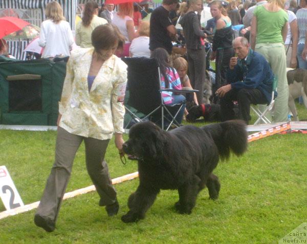 Фотография № 29204