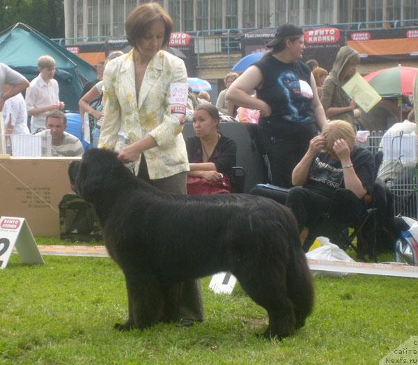 Фотография № 29206