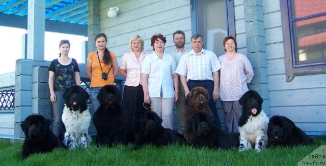 Фото: ньюфаундленд Akvanavt iz Tihogo Omuta (Акванавт из Тихого Омута), Ангелина Ютанова, ньюфаундленд Super Bizon Argo (Супер Бизон Арго), Kseniya Novikova (Ксения Новикова), ньюфаундленд King of Helluland Viking, YEl'vira Sumina (Эльвира Сумина), Варова Эльвира, ньюфаундленд Vell Spirit Lillit (Велл Спирит Лилит), Aleksandr Filatov (Александр Филатов), Рудаков Яков, ньюфаундленд Amazing Grace vom Riesrand, ньюфаундленд Aquatoriya Kelvin Zvezdnaya Koroleva (Акватория Келвин Звездная Королева), Tat'yana Abutova (Татьяна Абутова), ньюфаундленд Plyushevaya Panda La Bella (Плюшевая Панда Ла Белла), ньюфаундленд Akvatoriya Kelvin Zaskiya (Акватория Келвин Заския)