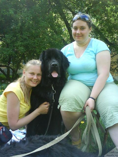 Фото: ньюфаундленд Amazonka YEmi CHardishik (Амазонка Эми Чардишик), Anastasiya Loskutova (Анастасия Лоскутова)