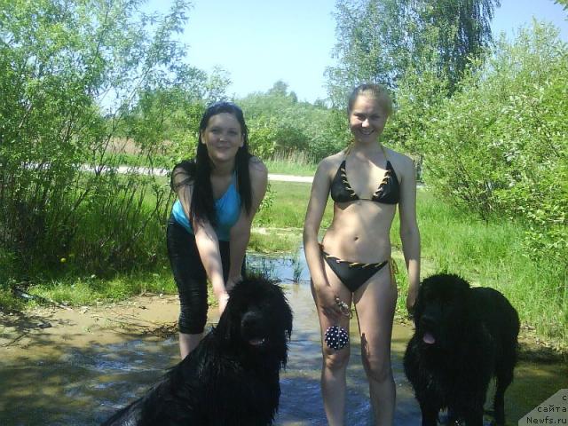 Фото: ньюфаундленд Amazonka YEmi CHardishik (Амазонка Эми Чардишик), ньюфаундленд Applikaciya Plyush CHardika (Аппликация Плюш Чардика), Anastasiya Loskutova (Анастасия Лоскутова), Svetlana Galkina (Светлана Галкина)