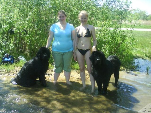 Фото: ньюфаундленд Amazonka YEmi CHardishik (Амазонка Эми Чардишик), ньюфаундленд Applikaciya Plyush CHardika (Аппликация Плюш Чардика), Anastasiya Loskutova (Анастасия Лоскутова)