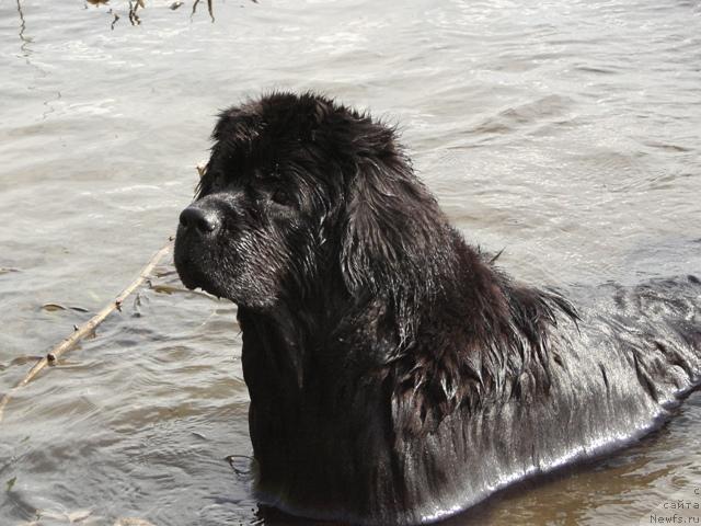 Фотография № 29355