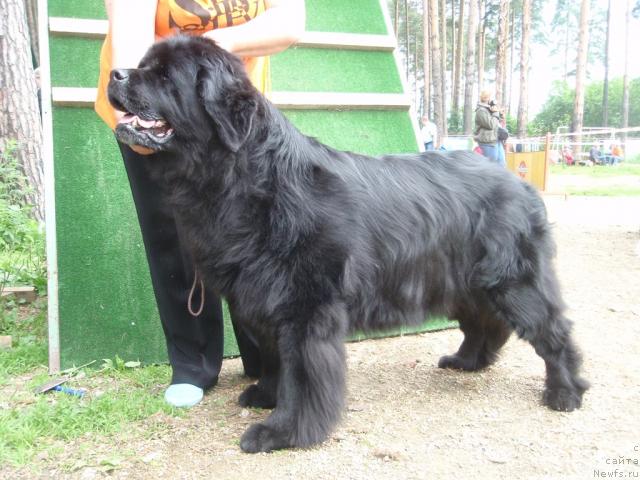 Фотография № 29544