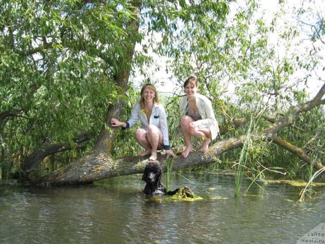 Фото: Татьяна, Mariya Korotkina (Мария Короткина), ньюфаундленд Lunnaya Krasavica (Лунная Красавица)