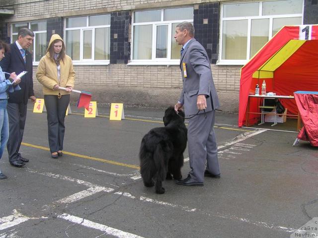 Фотография № 29567