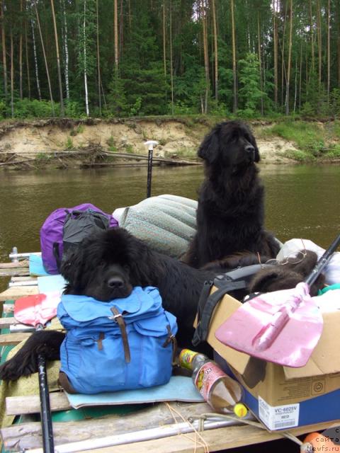 Фотография № 29592