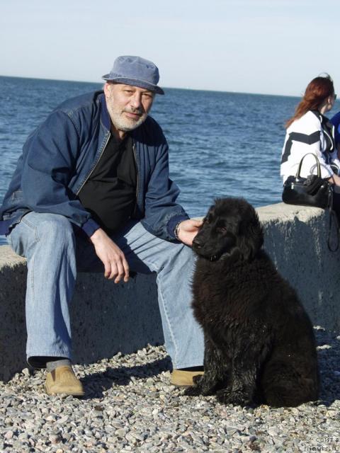 Фото: Sergey Jurjenko (Сергей Журженко)