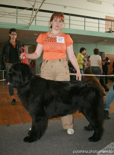 Фотография № 29774