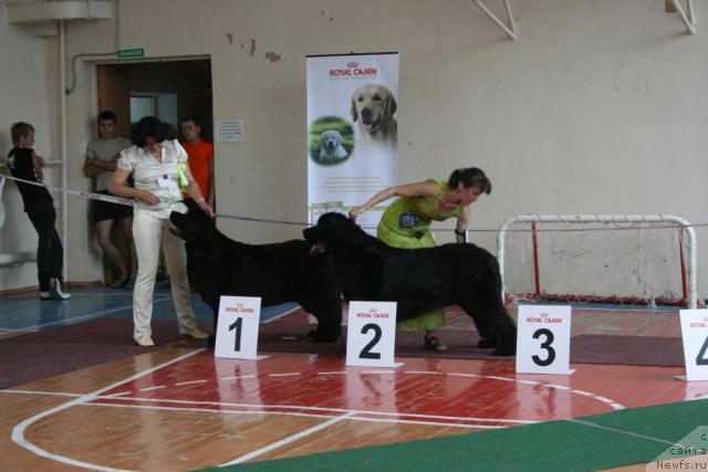 Фото: YUliya Sidorova (Юлия Сидорова)