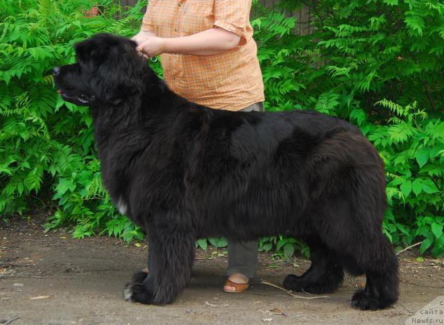 Фотография № 29802