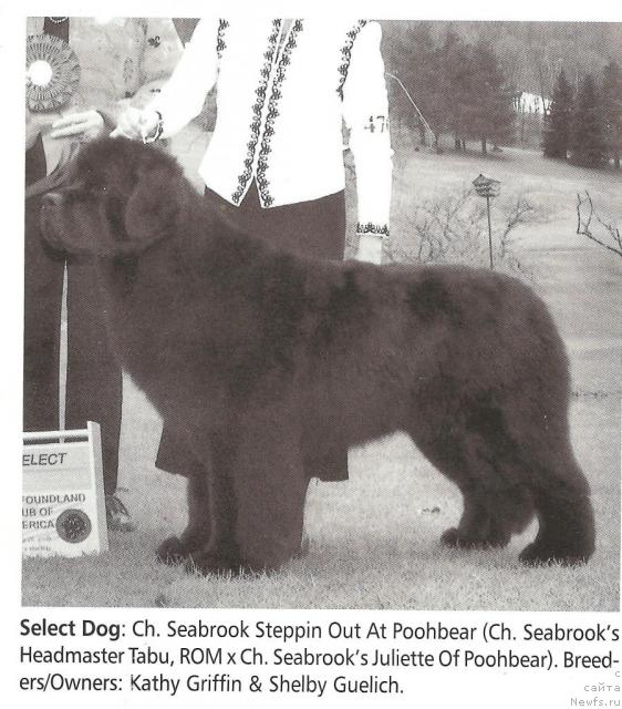 Фотография № 29814