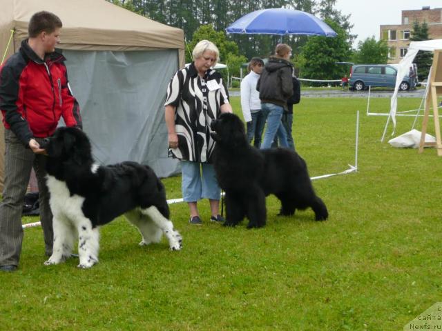 Фотография № 29880