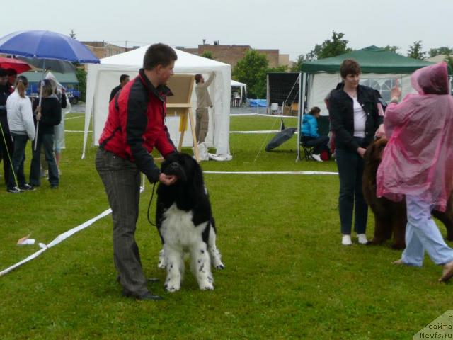 Фотография № 29882