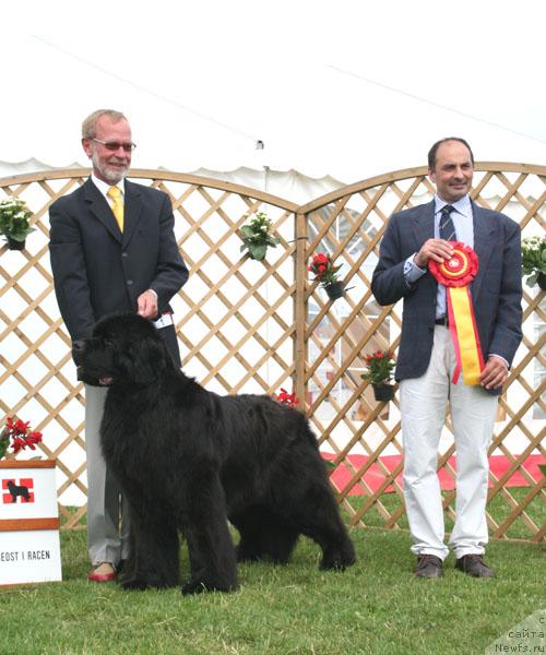 Фотография № 29990