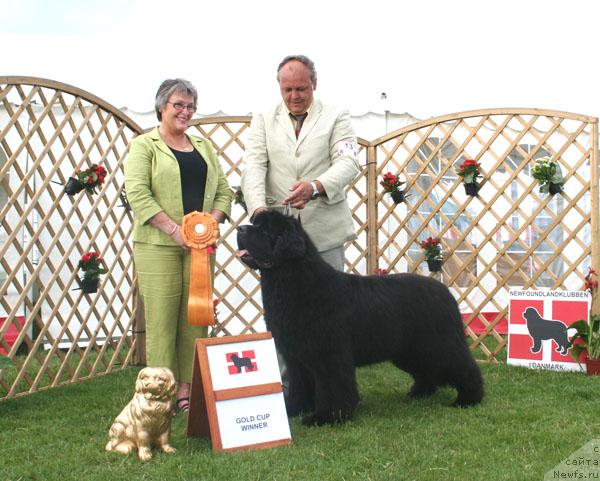 Фотография № 29995