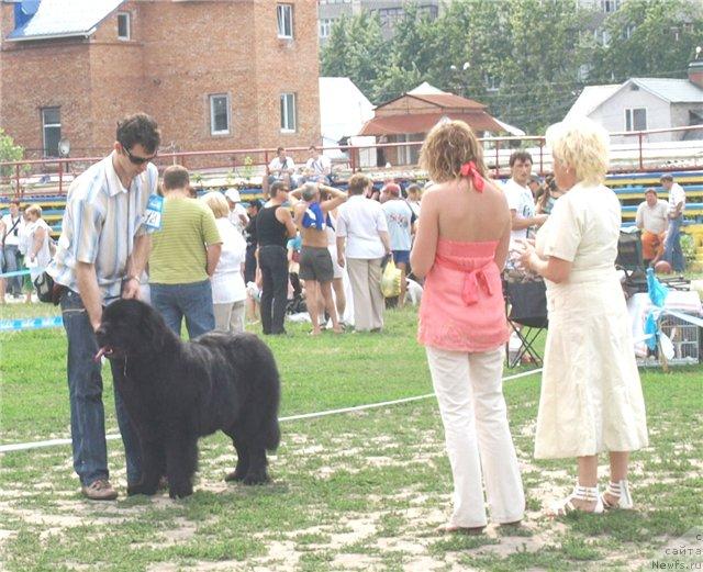 Фотография № 30007