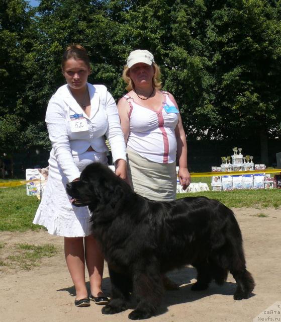 Фото: ньюфаундленд Potap Felicia (Потап Фелиция), Mariya SHatilova (Мария Шатилова)