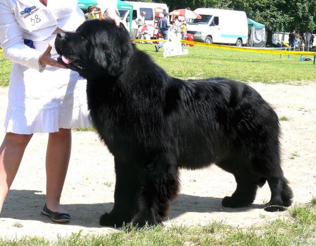 Фотография № 30068