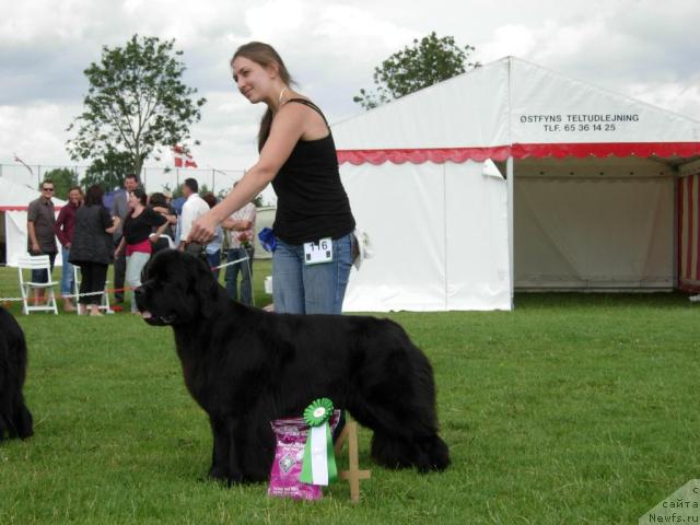 Фотография № 30088