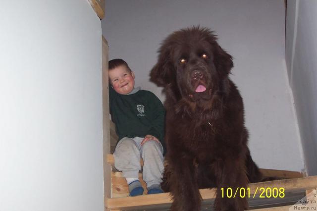 Фотография № 30092