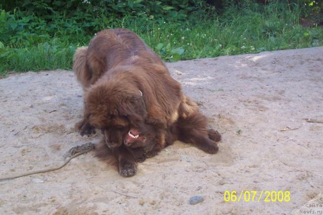 Фотография № 30094