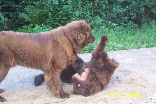 Фотография № 30095