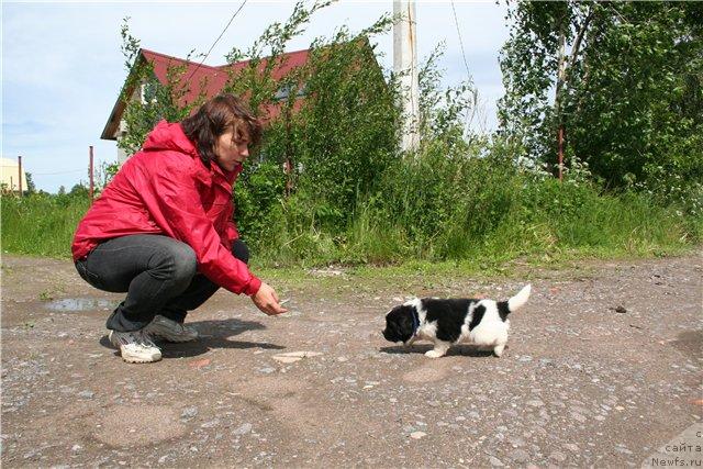 Фото: [p244] и Питерньюф Плэй Бой