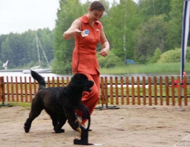 Фотография № 30239