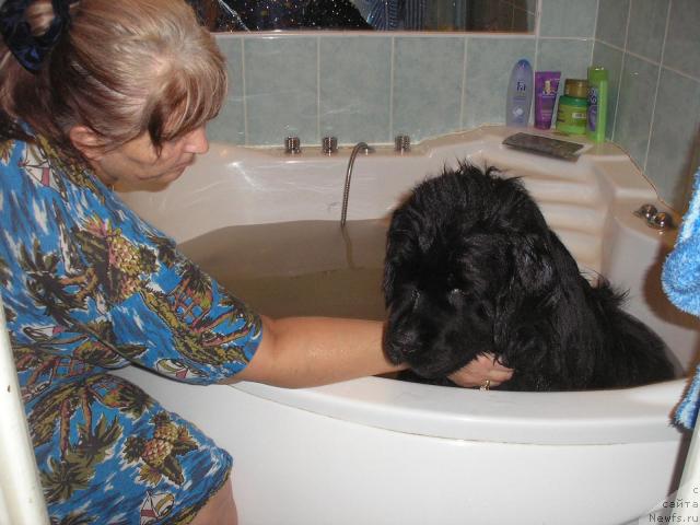 Фотография № 3026