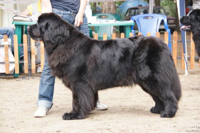 Фотография № 30268