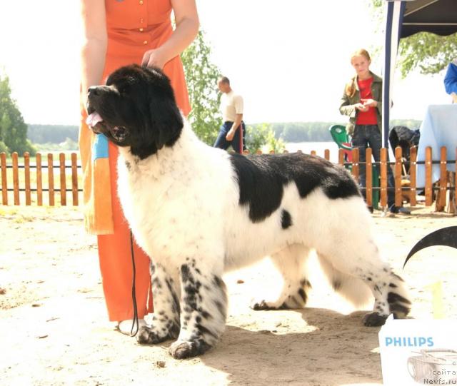 Фотография № 30280