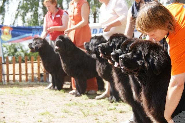 Фотография № 30282