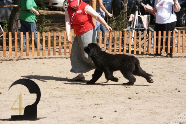 Фотография № 30285