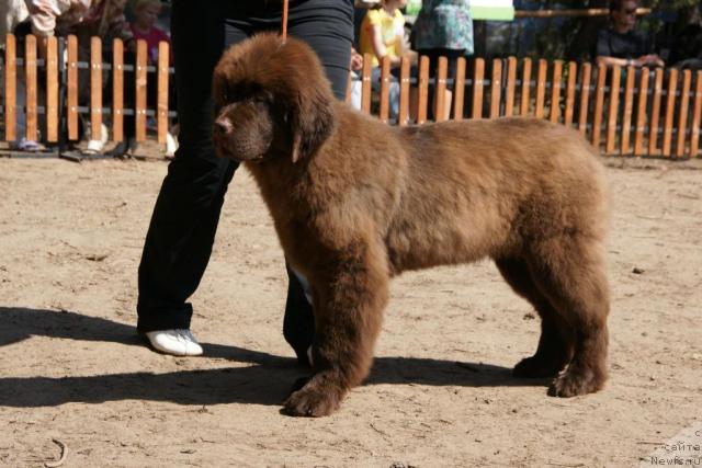 Фотография № 30286