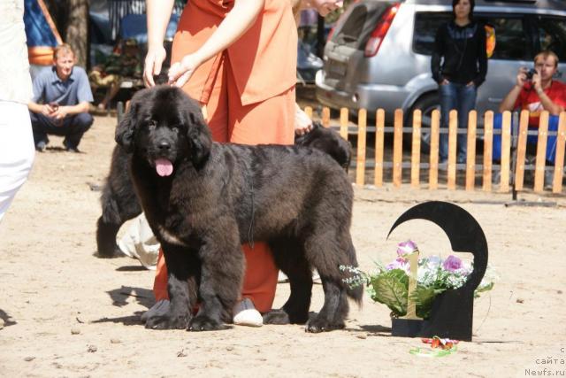 Фотография № 30295