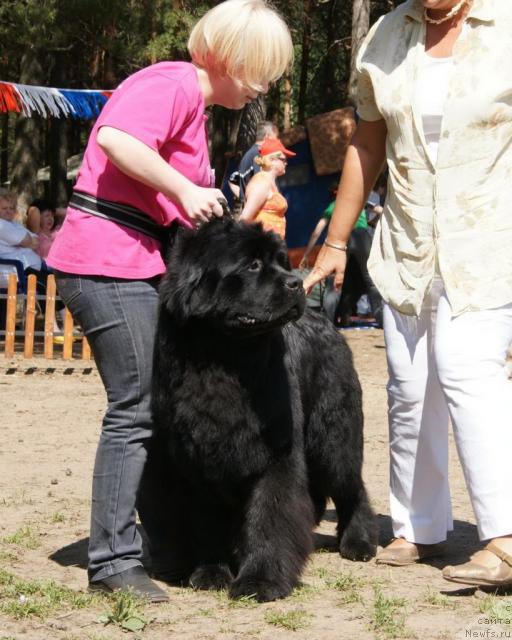 Фотография № 30298