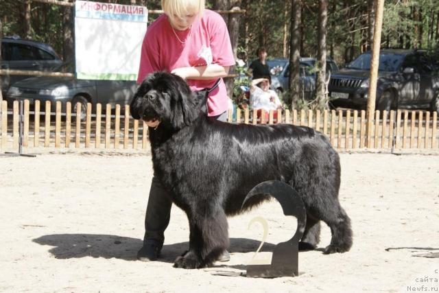 Фотография № 30303