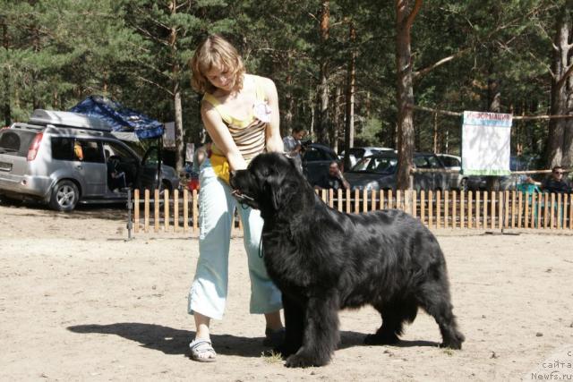 Фотография № 30305