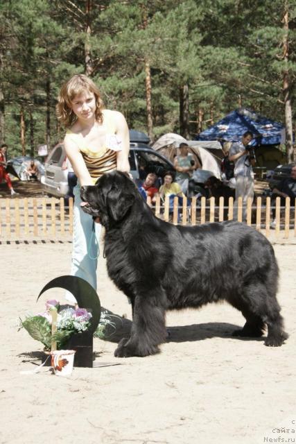 Фотография № 30306