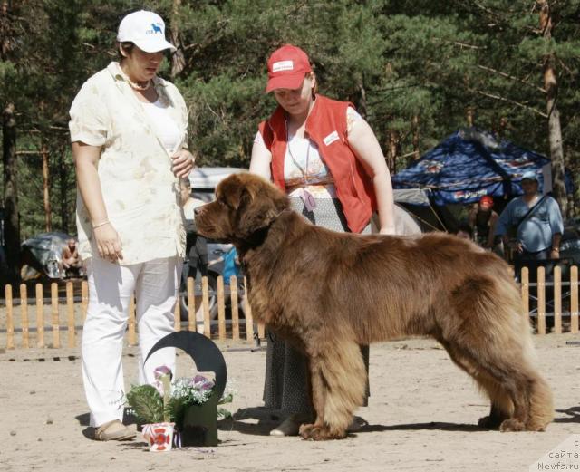 Фотография № 30307