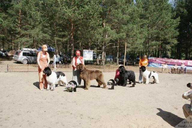 Фотография № 30314